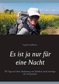 Es ist ja nur für eine Nacht - Angela Stadlbauer - E-Book