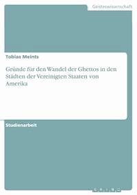 Gründe für den Wandel der Ghettos in den Städten der Vereinigten Staaten von Amerika - Tobias Meints - E-Book