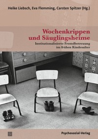 Wochenkrippen und Säuglingsheime -  - E-Book