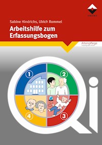 Arbeitshilfe zum Erfassungsbogen - Sabine Hindrichs - E-Book