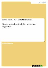 Bilanzcontrolling im kybernetischen Regelkreis - Daniel Fusshöller - E-Book