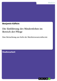 Die Einführung des Mindestlohns im Bereich der Pflege - Benjamin Käflein - E-Book