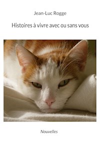 Histoires à vivre avec ou sans vous - Jean-Luc Rogge - E-Book