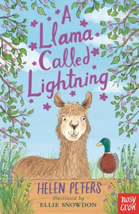 A Llama Called Lightning - Helen Peters - E-Book