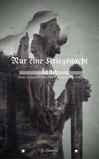 Nur eine Kriegsnacht lang - L. Hawke - E-Book