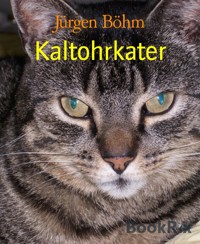 Kaltohrkater - Jürgen Böhm - E-Book