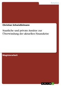 Staatliche und private Ansätze zur Überwindung der aktuellen Finanzkrise - Christian Schwießelmann - E-Book