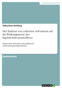Der Einfluss von collective self-esteem auf die Wirkungsweise des big-fish-little-pond-effects - Sebastian Ketting - E-Book