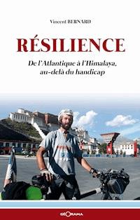 Résilience - Vincent Bernard - E-Book