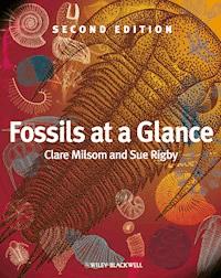 Fossils at a Glance - Clare Milsom - E-Book