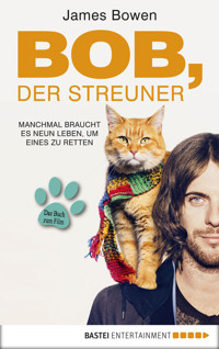 Bob, der Streuner - James Bowen - E-Book