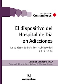 El dispositivo del Hospital de Día en Adicciones - Alberto Trimboli - E-Book