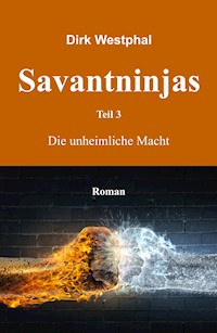 Savantninjas - Dirk Westphal - E-Book