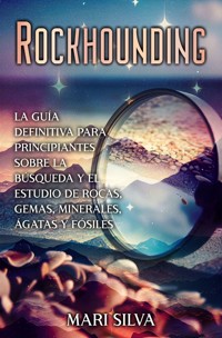 Rockhounding - Mari Silva - E-Book