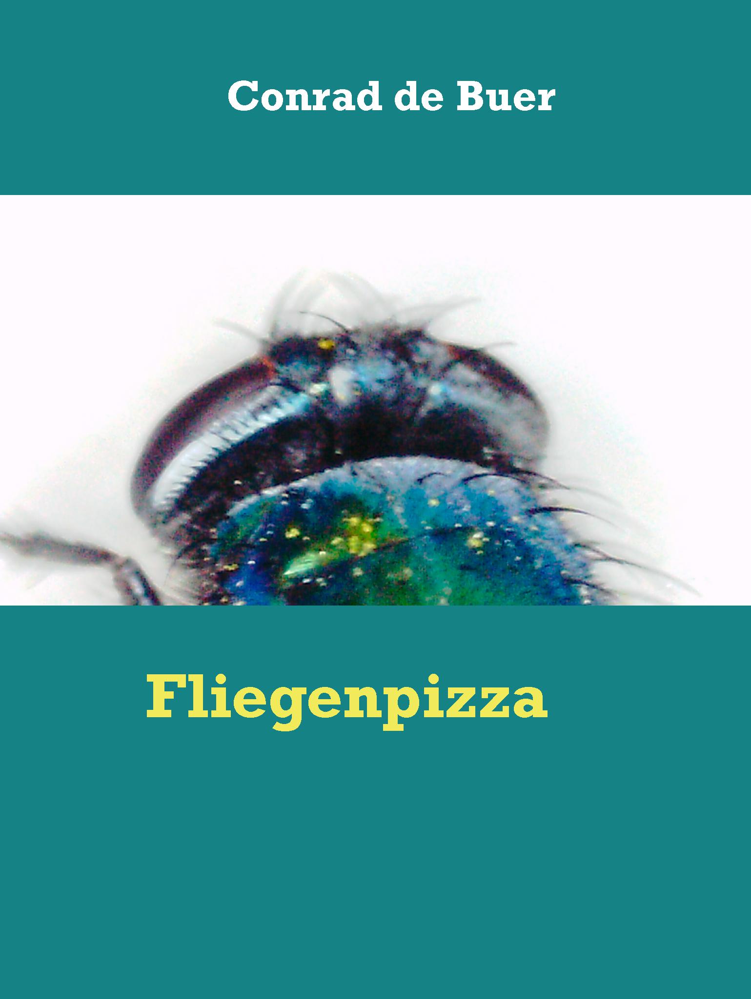 Fliegenpizza - Conrad de Buer - E-Book