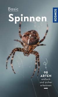 Basic Spinnen - Lars Wilker - E-Book