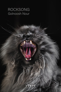 Rocksong - Golnoosh Nour - E-Book