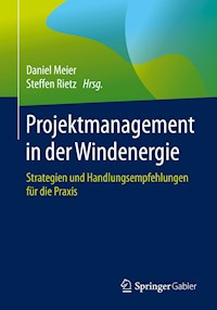 Projektmanagement in der Windenergie -  - E-Book