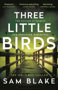 Three Little Birds - Sam Blake - E-Book