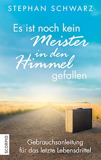 Es ist noch kein Meister in den Himmel gefallen - Stephan Schwarz - E-Book