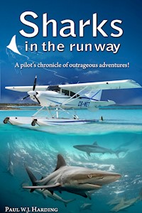 Sharks in the Runway - Paul W. J. Harding - E-Book