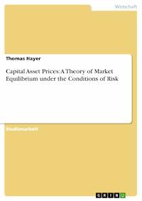 Capital Asset Prices: A Theory of Market Equilibrium under the Conditions of Risk - Thomas Hayer - E-Book
