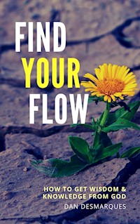 Find Your Flow - Dan Desmarques - E-Book