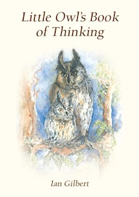 Little Owl's Book of Thinking - Ian Gilbert - E-Book