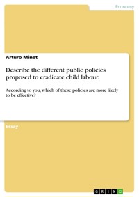 Describe the different public policies proposed to eradicate child labour. - Arturo Minet - E-Book