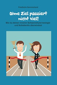 Ohne Ziel passiert nicht viel! - Friedhelm Sommerland - E-Book