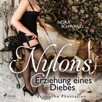 Nylons: Erziehung eines Diebes - Erotische Phantasien - Nora Schwarz - Hörbuch