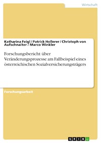 Forschungsbericht über Veränderungsprozesse am Fallbeispiel eines österreichischen Sozialversicherungsträgers - Katharina Feigl - E-Book