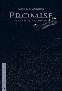 Promise - Sarah L. R. Schneiter - E-Book
