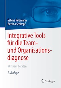 Integrative Tools für die Team- und Organisationsdiagnose - Sabine Pelzmann - E-Book