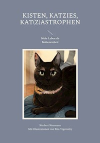 Kisten, Katzies, Kat(z)astrophen - Norbert Neumann - E-Book