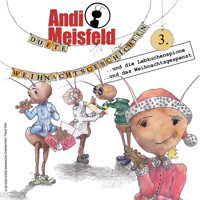 Andi Meisfeld, Folge 3: Dufte Weihnachtsabenteuer - Tom Steinbrecher - Hörbuch