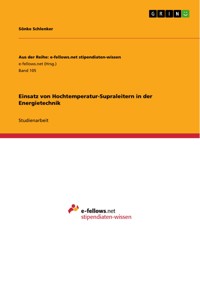Einsatz von Hochtemperatur-Supraleitern in der Energietechnik - Sönke Schlenker - E-Book