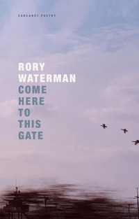 Come Here To This Gate - Rory Waterman - E-Book