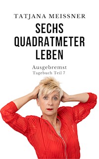 Ausgebremst - Tatjana Meissner - E-Book