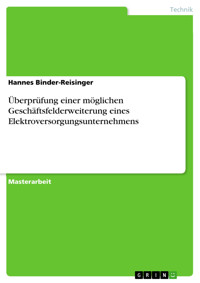 Überprüfung einer möglichen Geschäftsfelderweiterung eines Elektroversorgungsunternehmens - Hannes Binder-Reisinger - E-Book