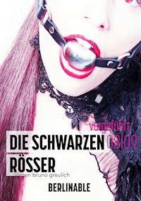 Die schwarzen Rösser - Folge 8 - Jürgen Bruno Greulich - E-Book