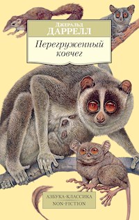 Перегруженный ковчег - Джеральд Даррелл - E-Book