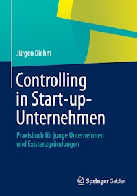Controlling in Start-up-Unternehmen - Jürgen Diehm - E-Book