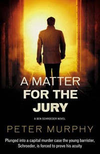 A Matter for the Jury - Peter Murphy - E-Book