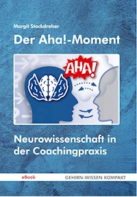Der Aha!-Moment - Margit Stockdreher - E-Book