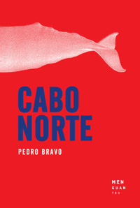 Cabo Norte - Pedro Bravo Aguilar - E-Book