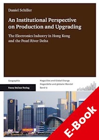 An Institutional Perspective on Production and Upgrading - Daniel Schiller - E-Book