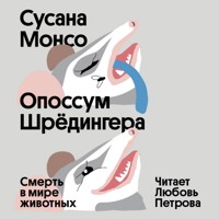 Опоссум Шредингера - Сусана Монсо - Hörbuch