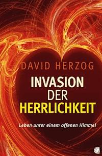 Invasion der Herrlichkeit - David Herzog - E-Book