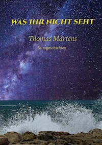 Was ihr nicht seht - Thomas Märtens - E-Book